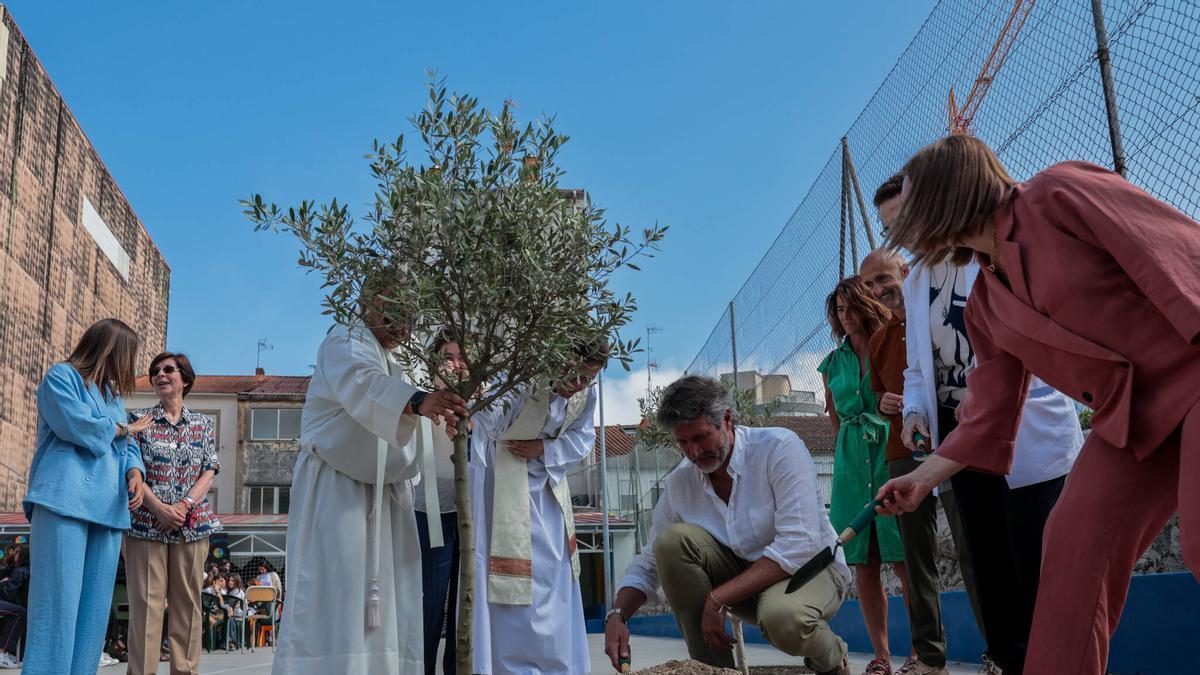 Momento de la plantación del olivo en el patio.