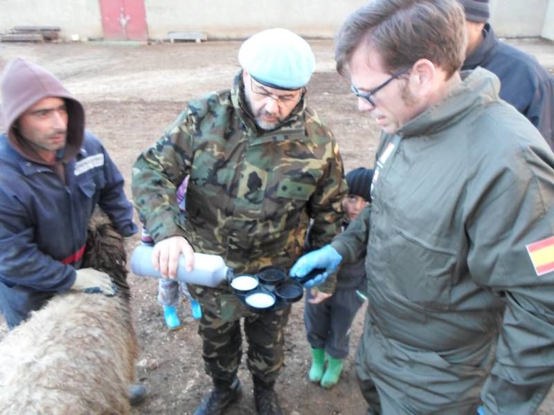 FOTOGALERÍA / Veterinarios de la UCO en Líbano