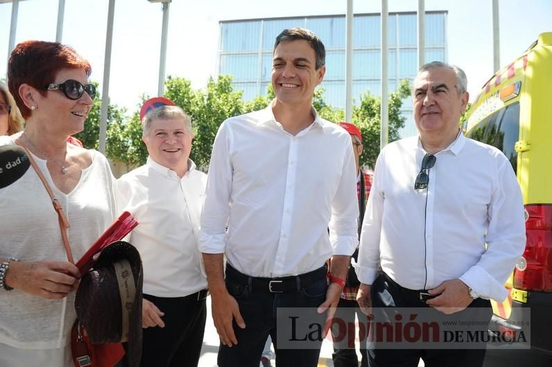 Pedro Sánchez en Murcia