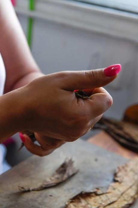 27-08-20  LAS PALMAS DE GRAN CANARIA. SCHAMANN. LAS PALMAS DE GRAN CANARIA.  Reportaje al único taller de puros artesanos que hay en la capital. El taller se llama Doble M y lo lleva Mercedes Martínez, ella es cubana y trae las hojas de tabaco desde la isla caribeña, todo lo hace a mano.  Fotos: Juan Castro.  | 27/08/2020 | Fotógrafo: Juan Carlos Castro