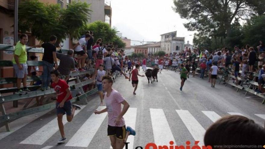 Encierro infantil en Calasparra, Feria del Arroz 2015