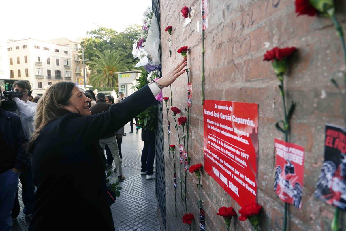 Marlaska afirma que con la legislación actual no es posible considerar a García Caparrós víctima de terrorismo ni de la represión franquista