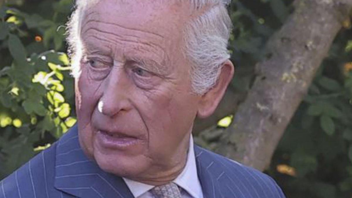 El rei Carles III. | TOBI MELVILLE / AP El rei Carles III. | TOBI MELVILLE / AP