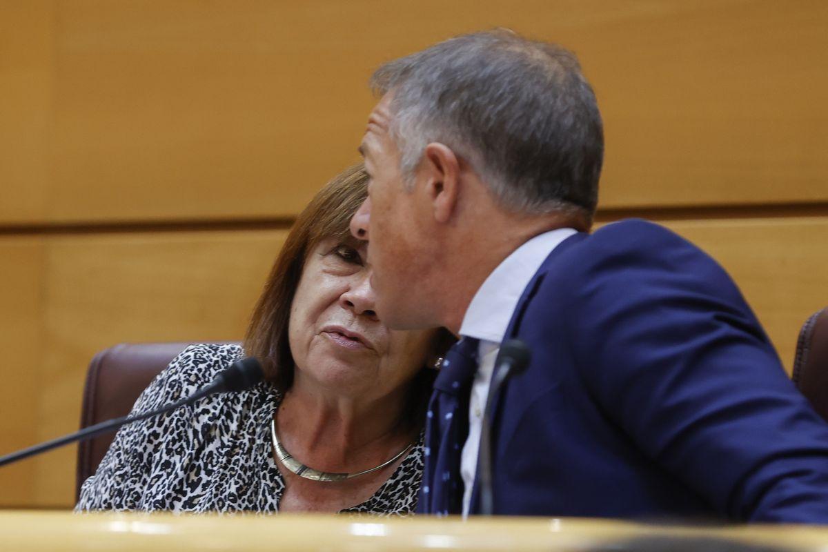 El PSOE al Senat justifica el seu ‘fracàs’ en el fet que el Govern no els deixa negociar les lleis