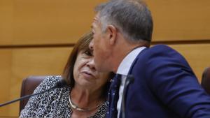 El PSOE al Senat justifica el seu ‘fracàs’ en el fet que el Govern no els deixa negociar les lleis