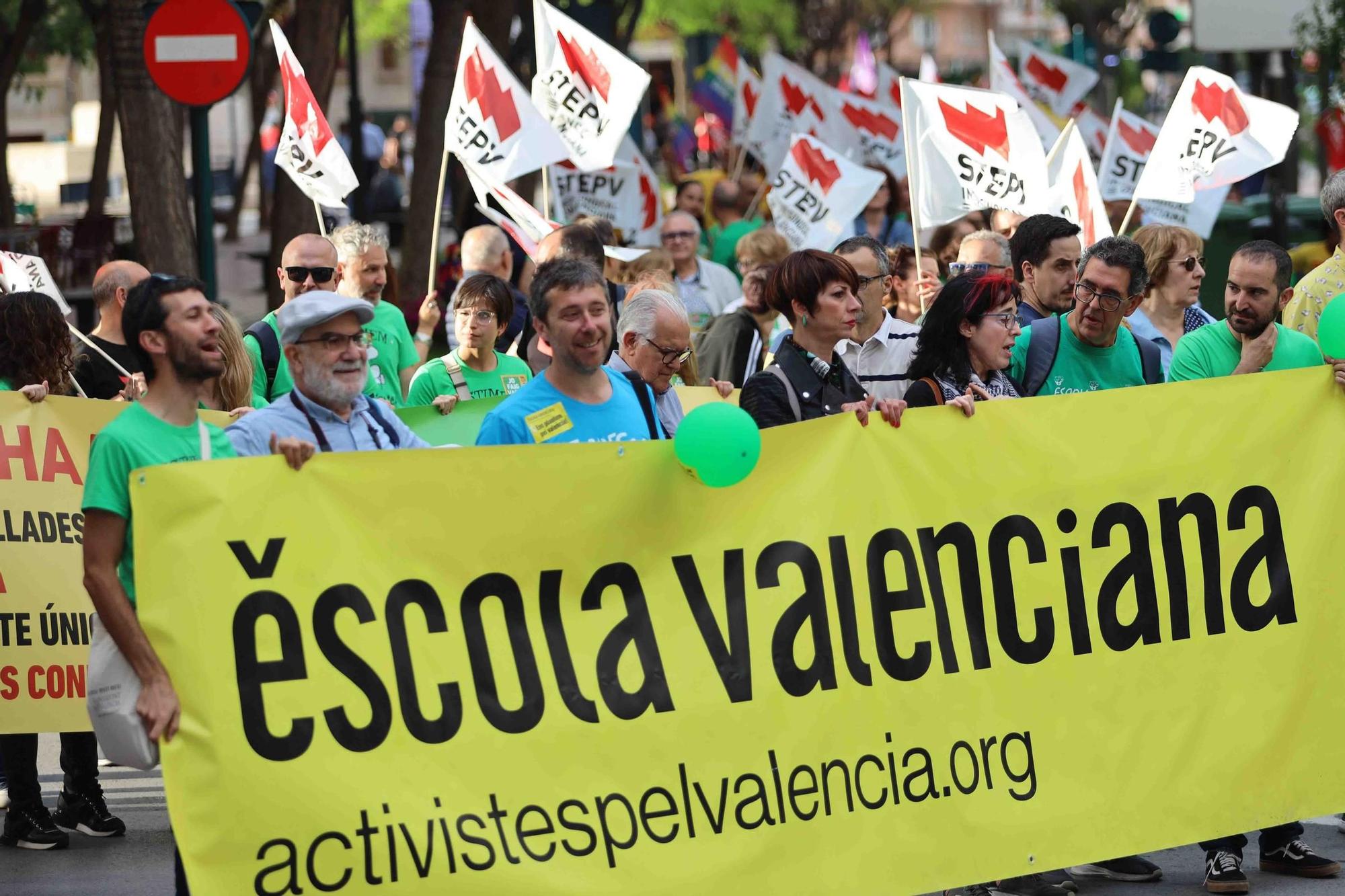 Galería de imágenes: La huelga general educativa concluye con una gran manifestación en Castellón