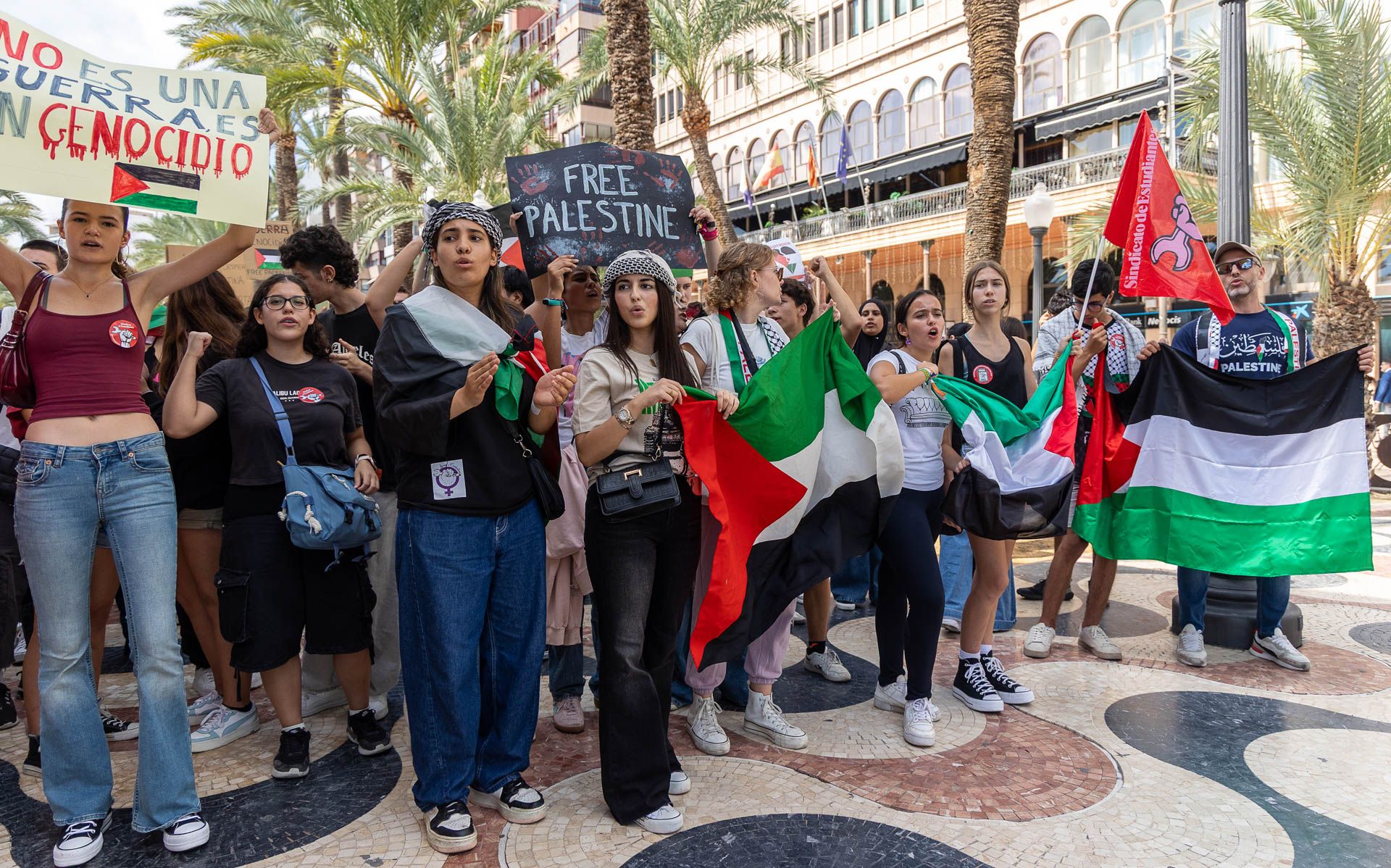 Estudiantes en defensa de Palestina por las calles de Alicante