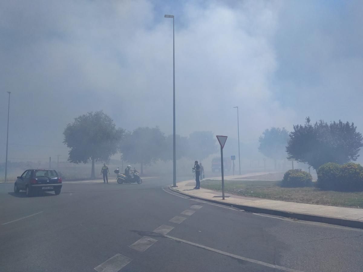 Incendio de pastos en la Ronda Norte de Badajoz