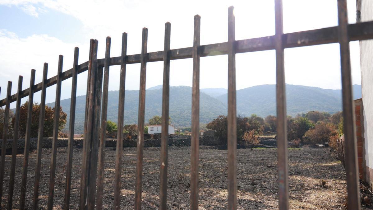 Una finca arrasade por el incendio de Jarilla el pasado verano