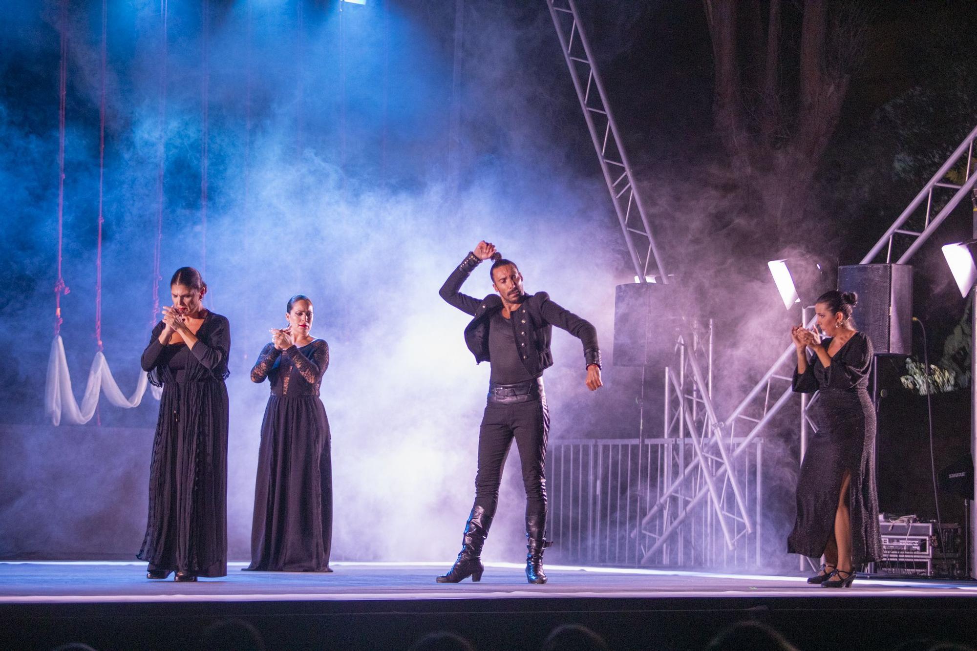 Todas las imágenes de la actuación del bailaor Eduardo Guerrero en Ibiza