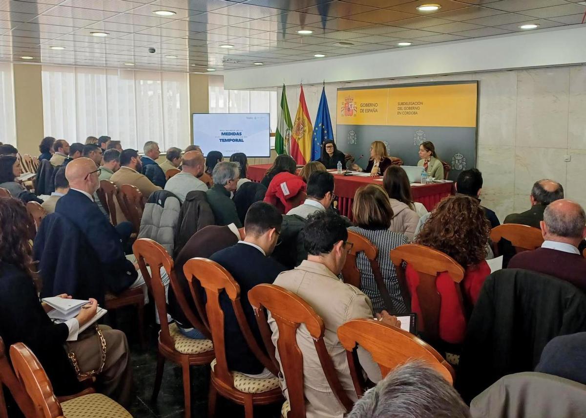 La Subdelegación informa a los alcaldes de la provincia de Córdoba sobre las ayudas específicas por los temporales.