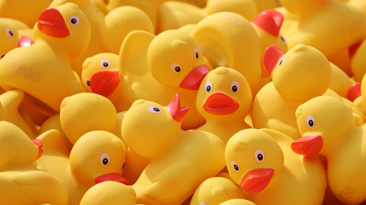 Patitos de goma