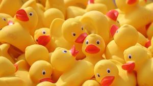 Patitos de goma