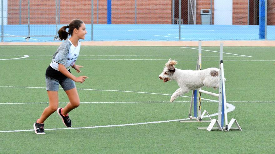 Més de 100 participants en les proves puntuables de Tavernes per al Campionat d’Espanya d’Agility 2024