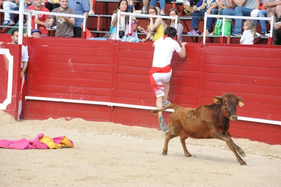 Becerrada, encierros y vaca de la sangría