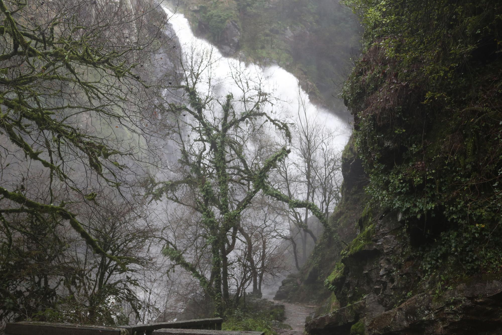 La Fervenza do Toxa aumenta su caudal tras la tormenta.