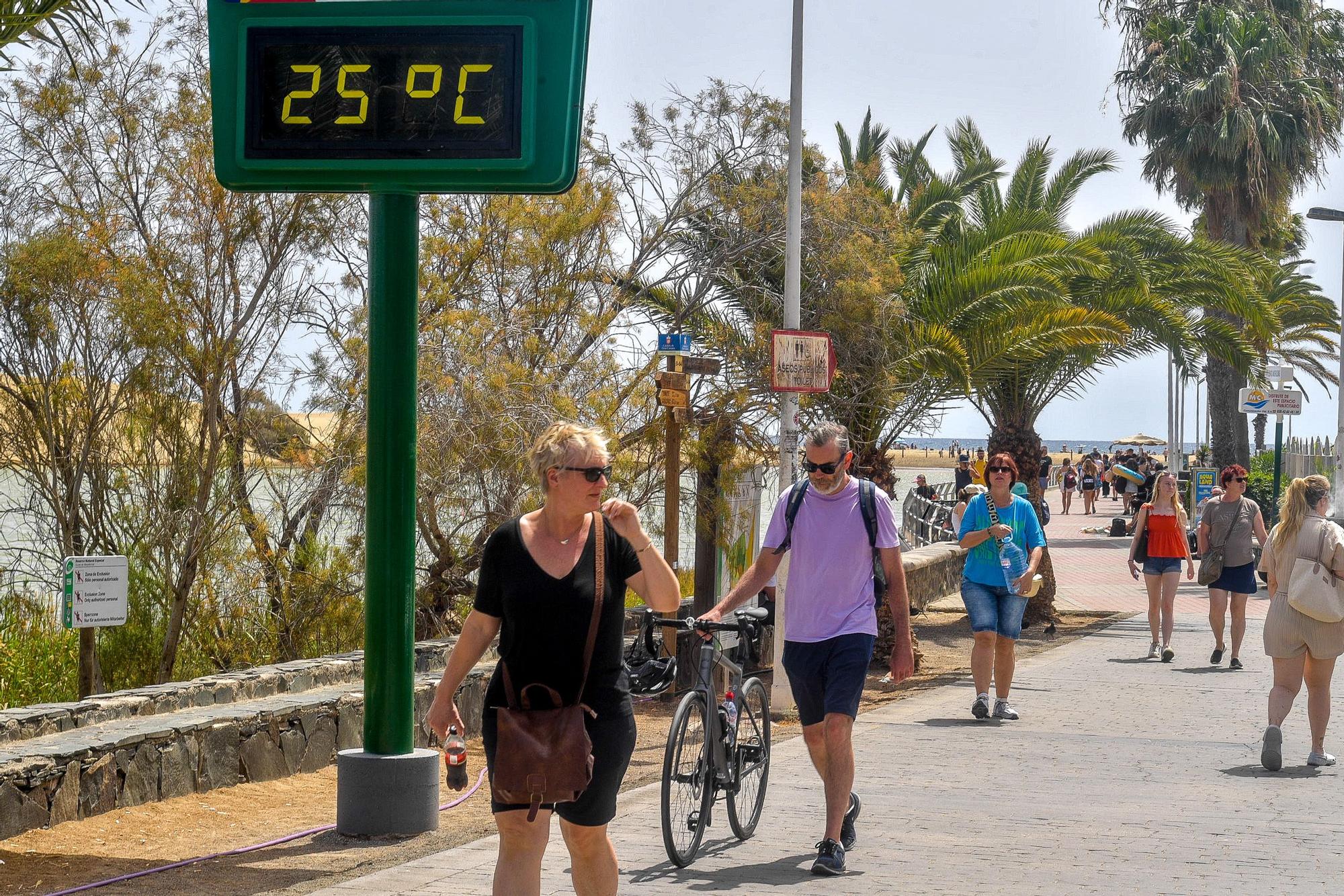 El tiempo en Gran Canaria (25/03/24)