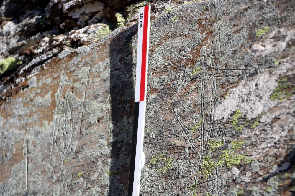 Descobreixen a la Vall d'Àssua centenars de gravats a la pedra de l'Edat mitjana