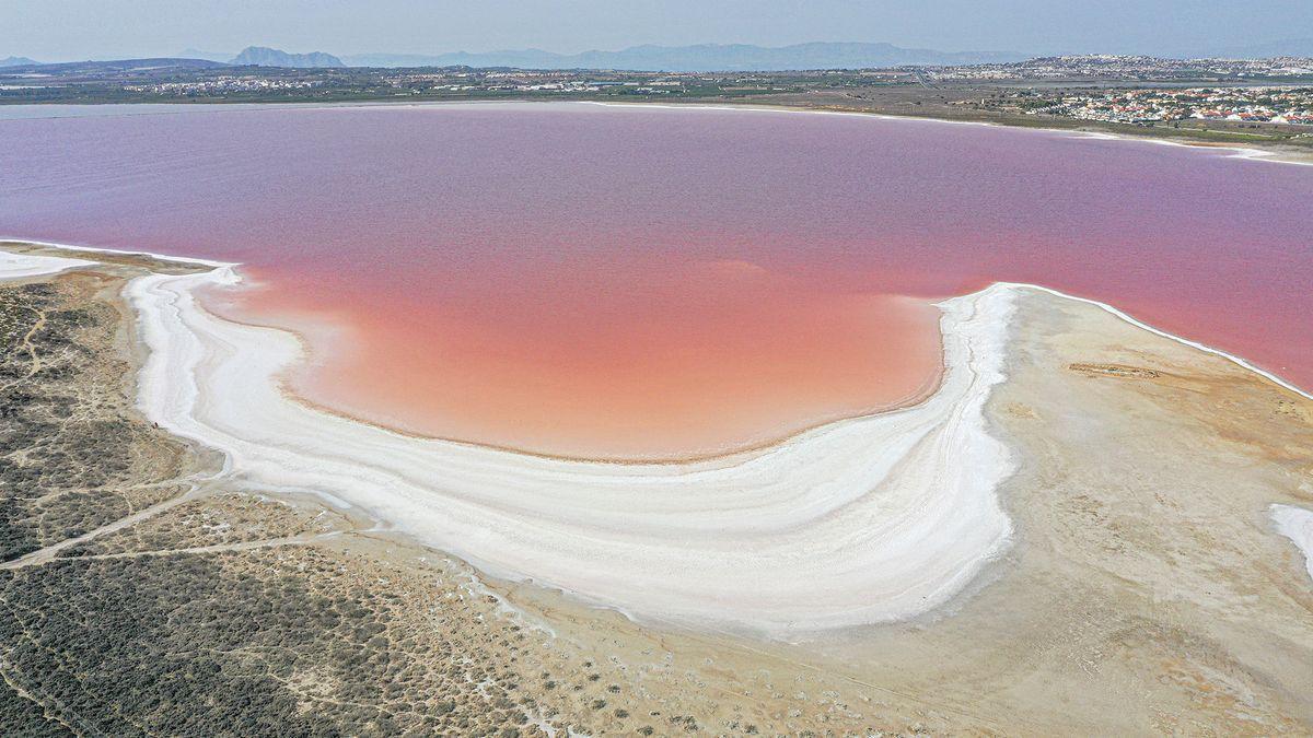 Las salinas de torrevieja