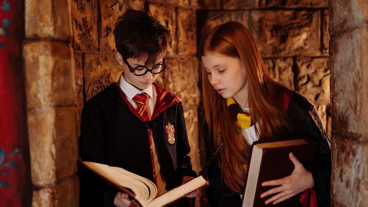 Zamora acogerá un evento sobre Harry Potter.