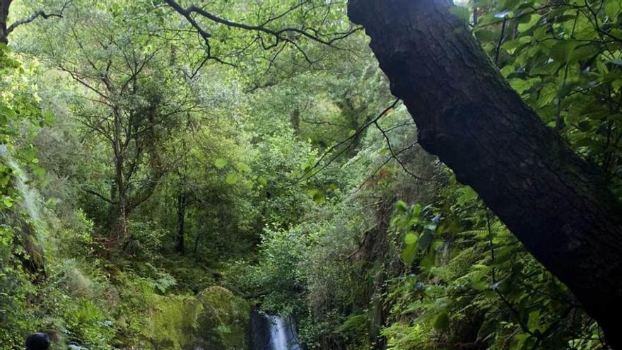 Una cascada en la reserva natural de El Escañorio.