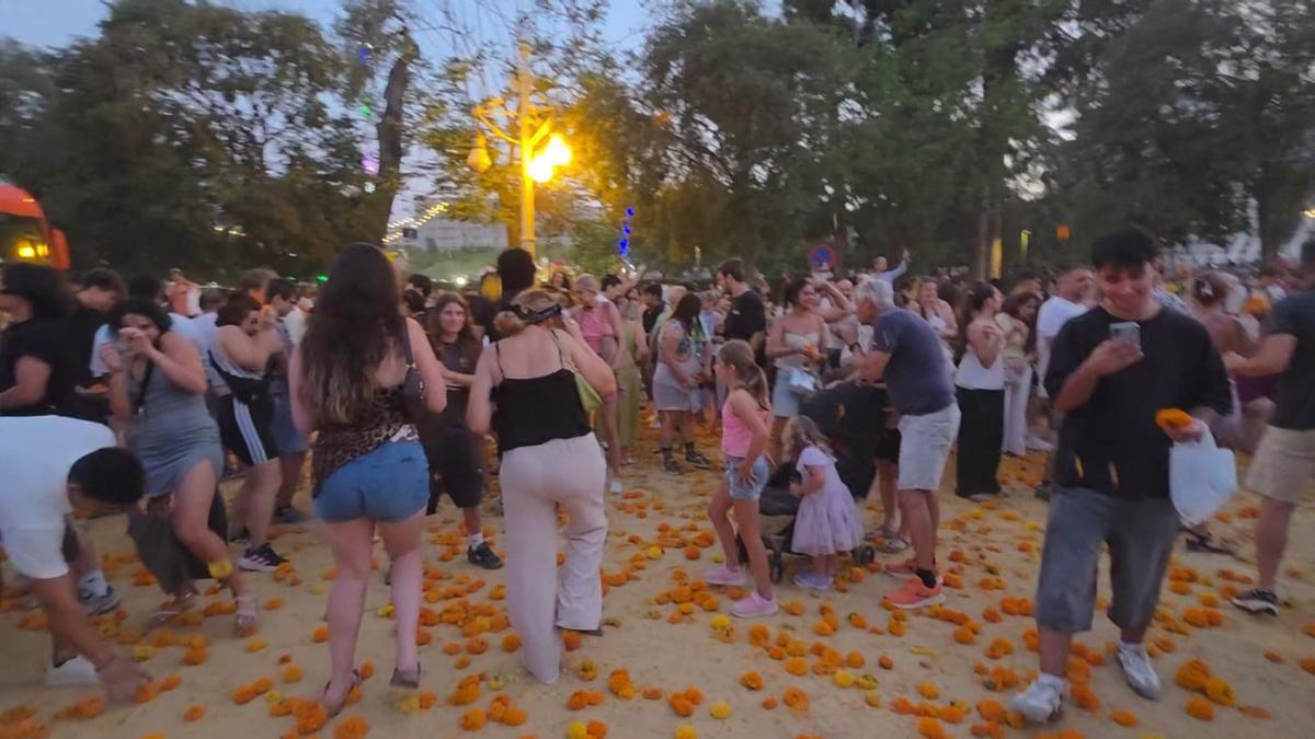 Una vez acabada la Batalla, la versión popular, con el público general que accede a la Alameda a lanzarse el clavellon que ha quedado en tierra.