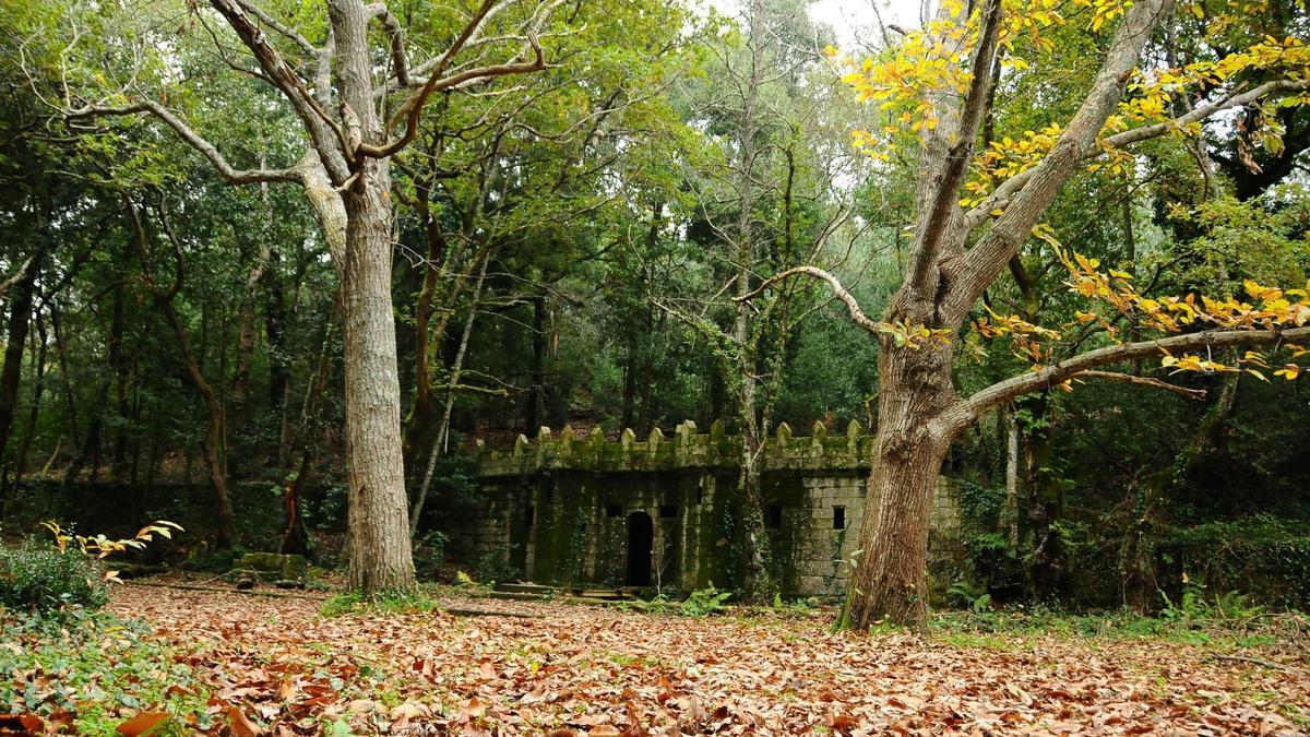 Imagen del Bosque Encantado de Aldán.