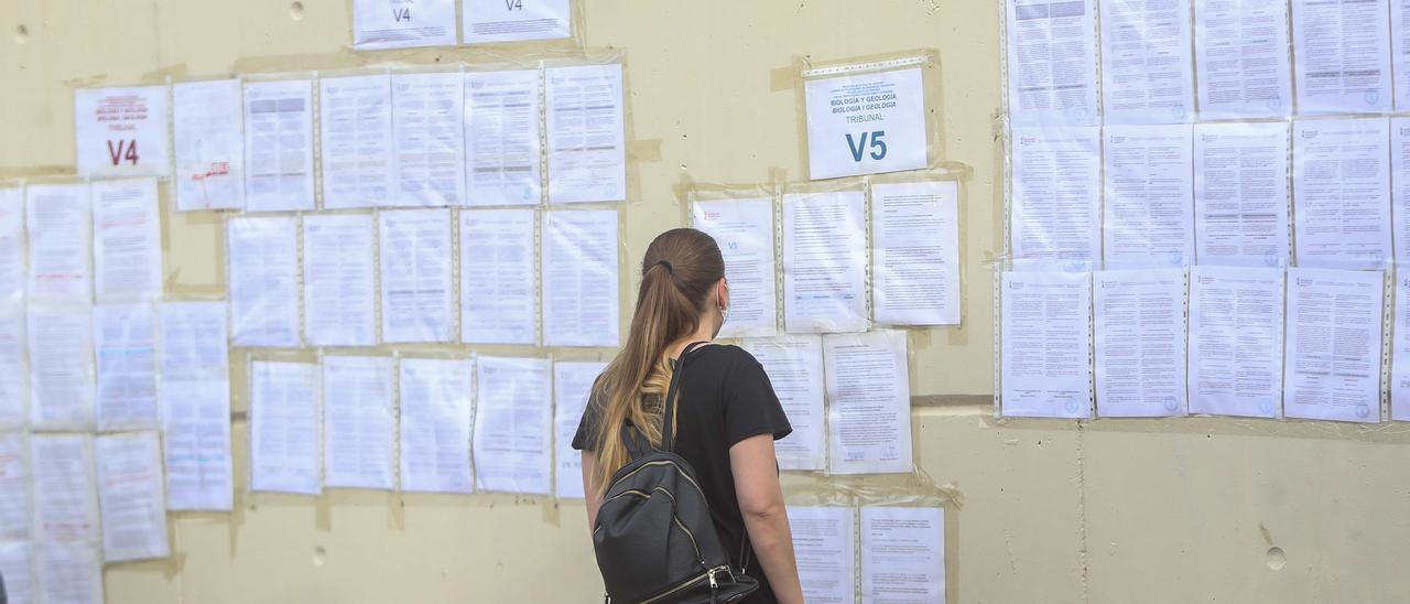 Docentes de Cataluña alertan del “efecto llamada” de valencianos a su  concurso de méritos - Levante-EMV