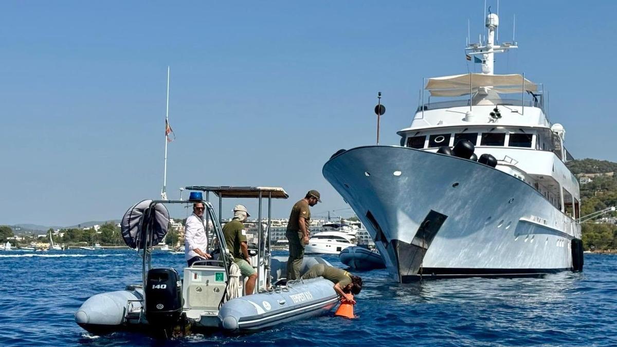 Arranca una nueva temporada del Servicio de Vigilancia de la Posidonia