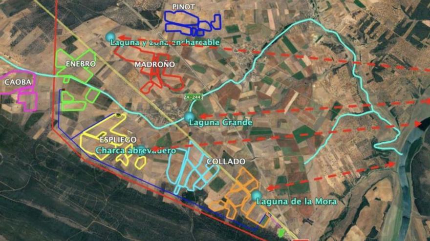 Los siete proyectos fotovoltaicos que llegarán a Tábara. | Estudio de impacto ambiental