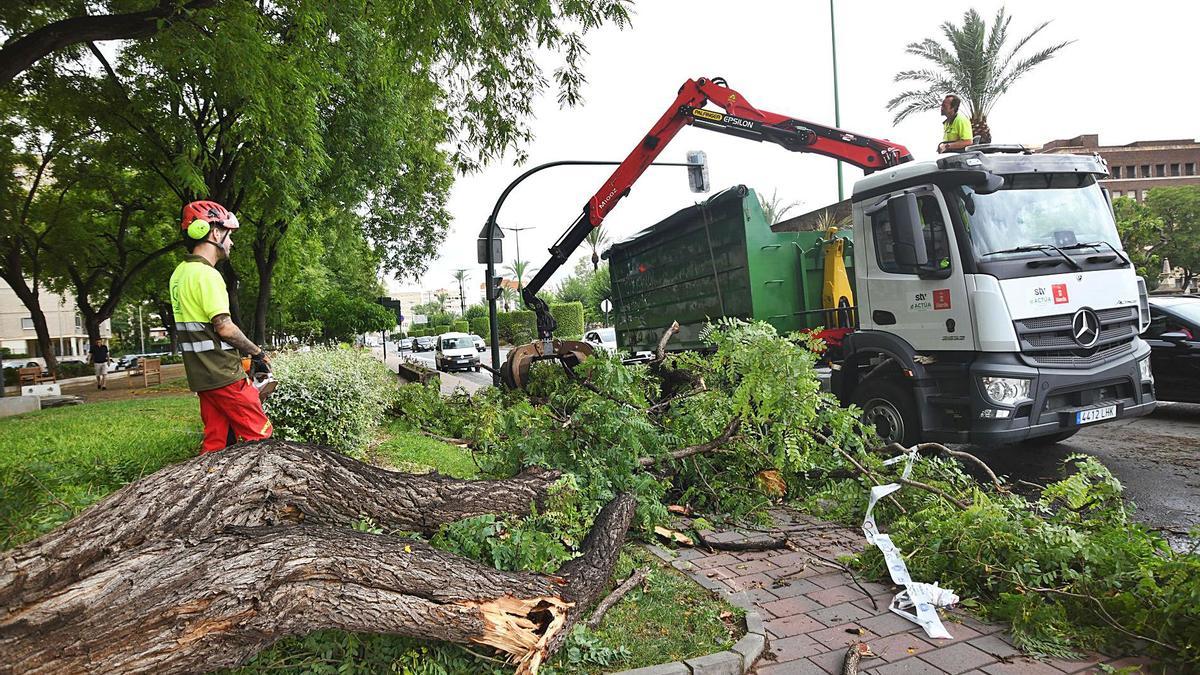 La tormenta que barre la Región desborda una rambla, deja granizo y derriba árboles | FOTOS DE ISRAEL SÁNCHEZ