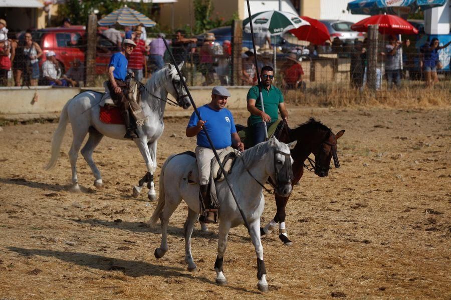 Fiestas en Zamora: Encierro en Venialbo