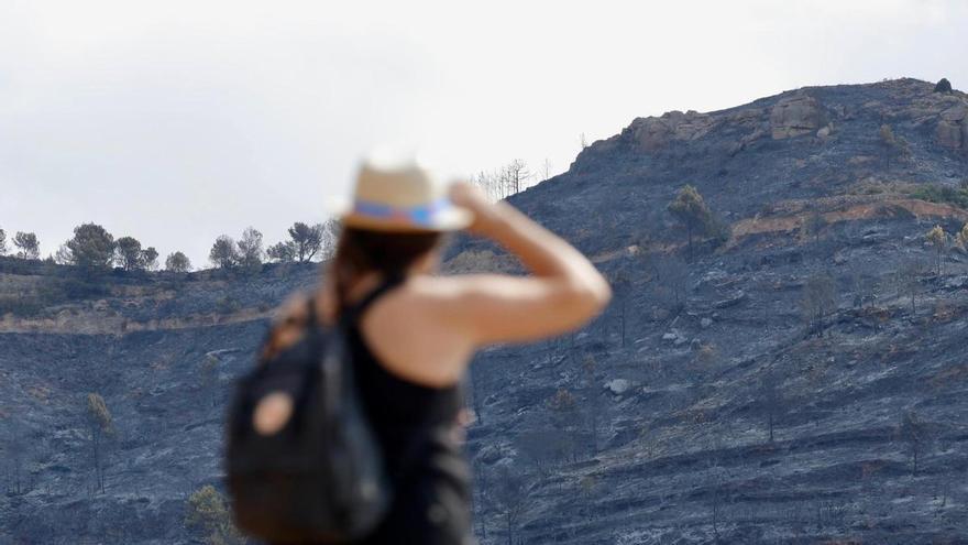 Los incendios que han amenazado a la Sierra Calderona, el pulmón verde de la Comunitat Valenciana