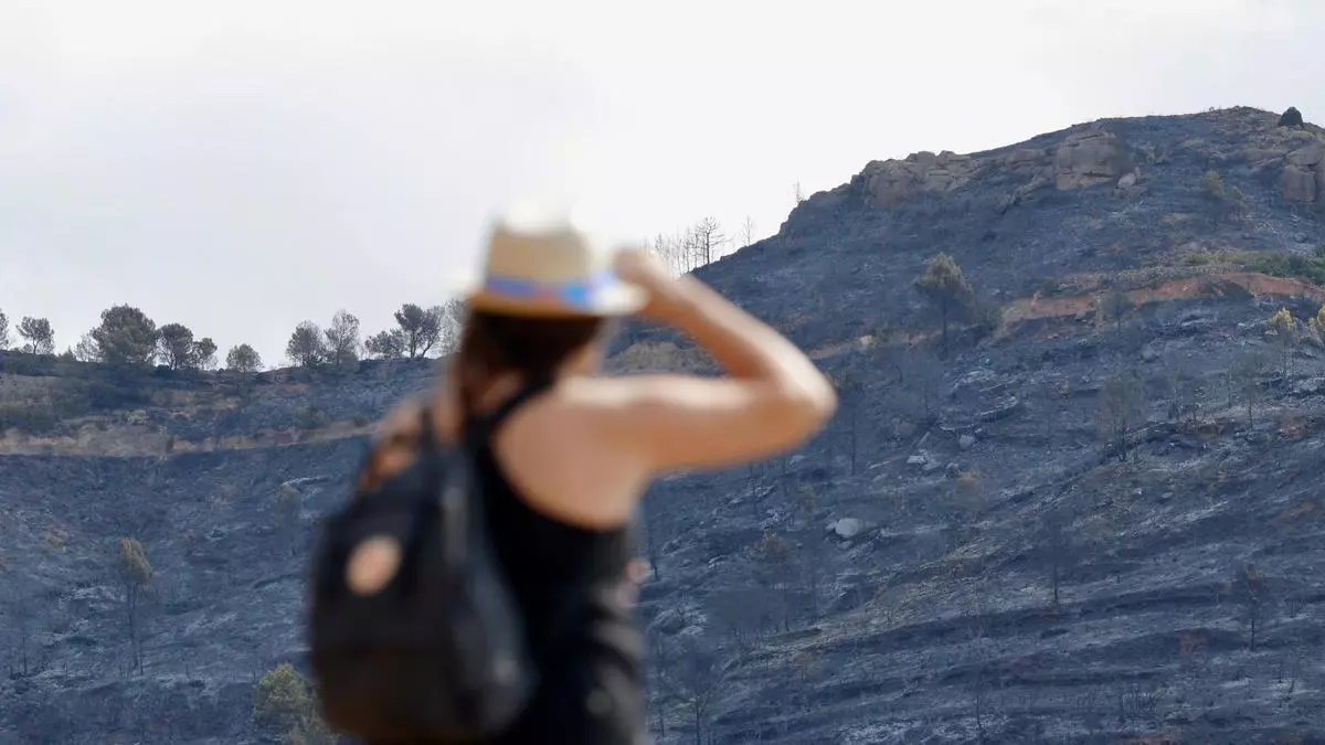 Cien días sin casi lluvia y temperaturas récord: el cóctel climático tras la virulencia del fuego en la Serra Calderona