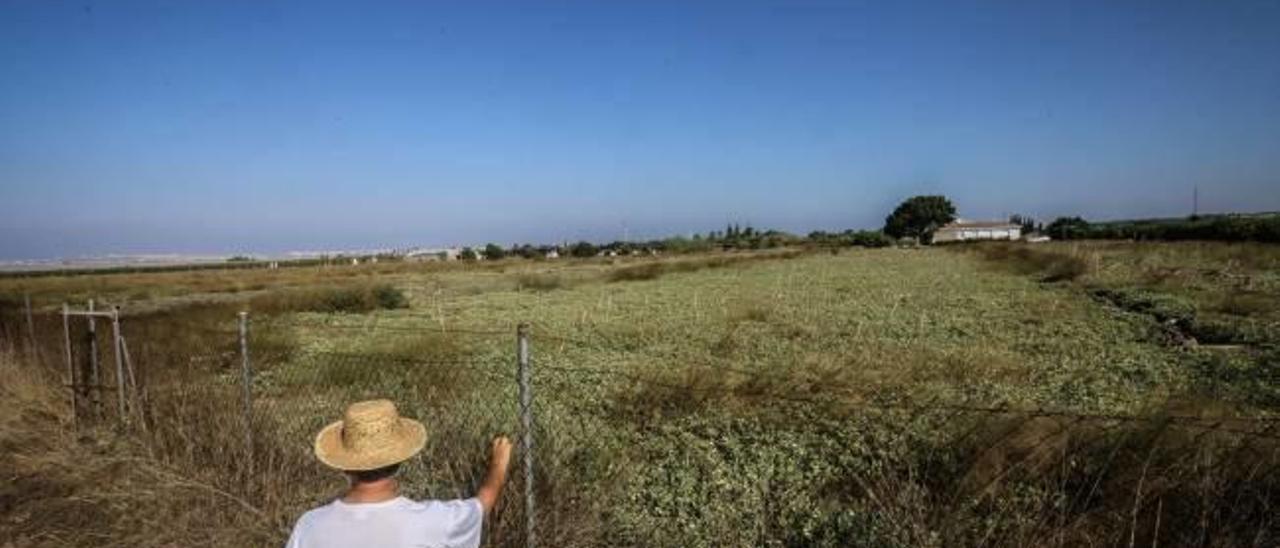 Imagen del área en la que está proyectada la planta de tratamiento de desechos de San Miguel de Salinas, sobre terreno rústico.