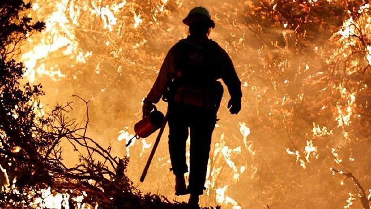 Un bomber treballa en un incendi forestal. | EFE