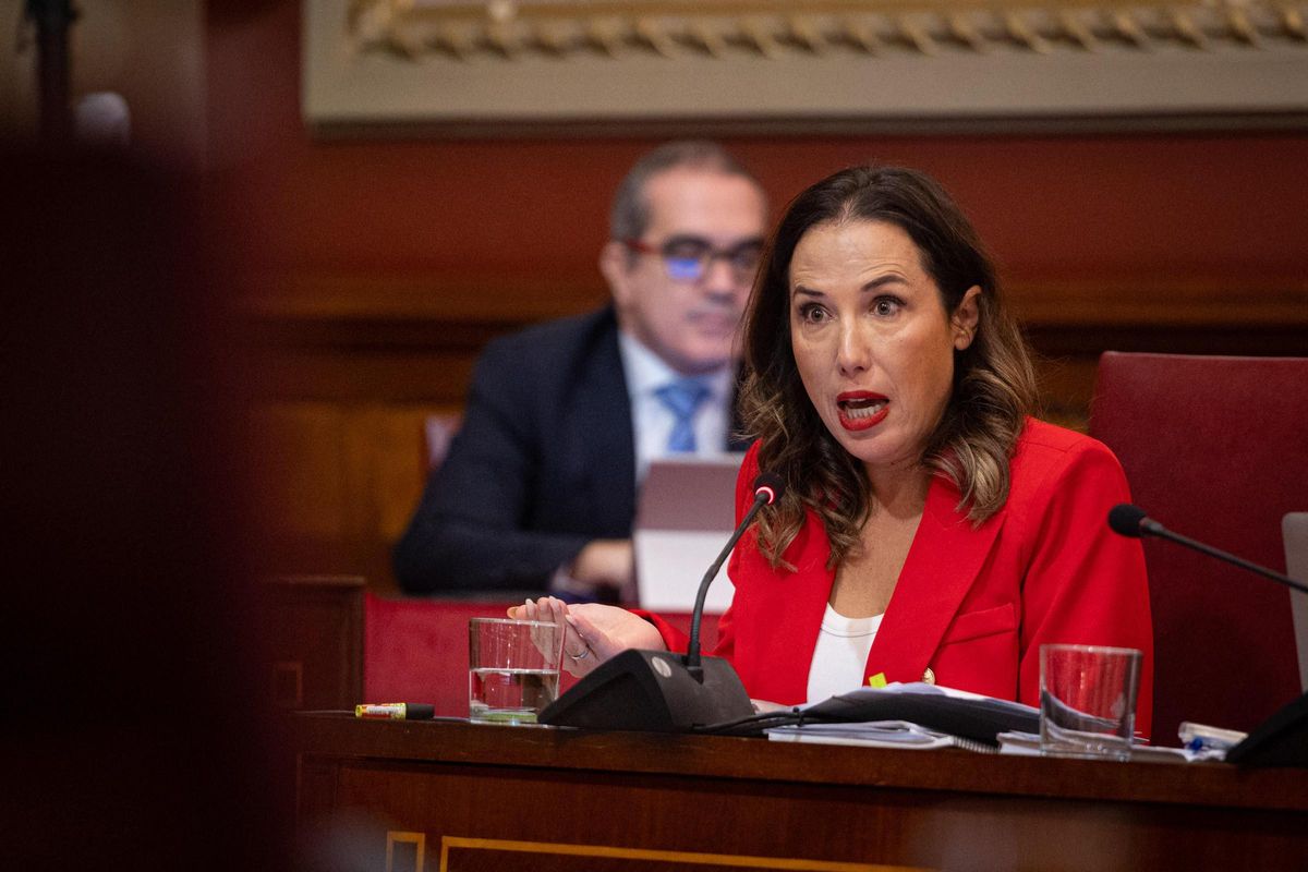 Patricia Hernández, portavoz del grupo socialista en Santa Cruz.