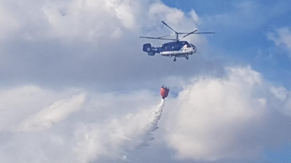 Incendio parque fluvial del Turia en Manises