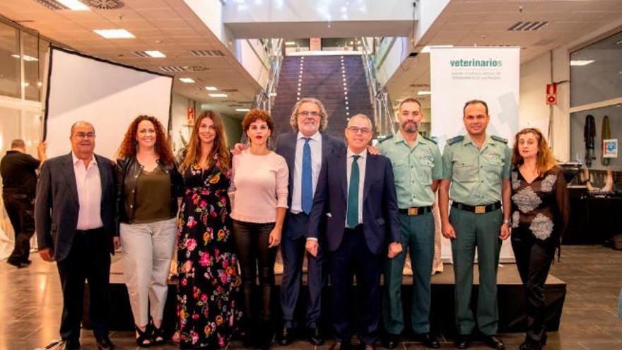 Seprona y Oasis Park, premios Lolita Pluma del Colegio de Veterinarios de  Las Palmas - La Provincia