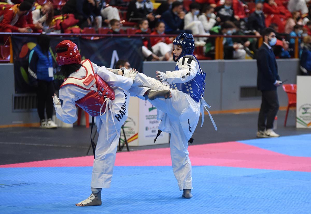 Open Internacional de Taekwondo de Córdoba en imágenes