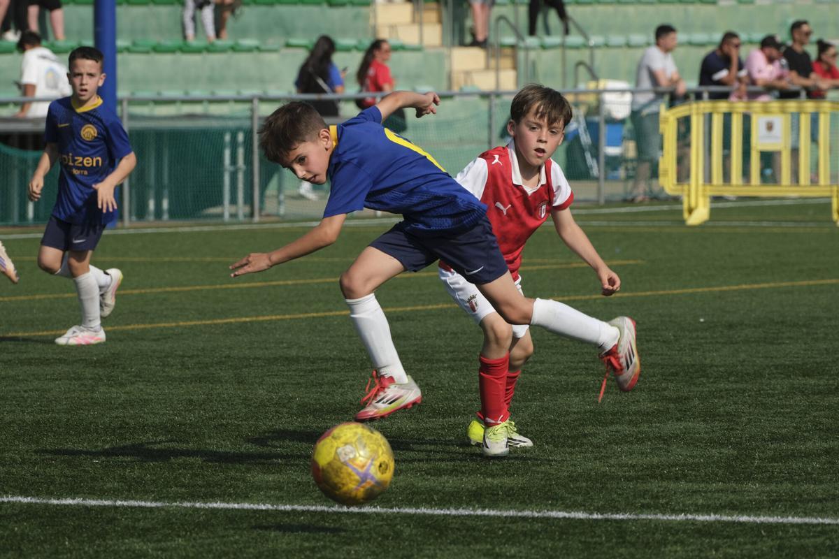 Imatges de la TEA Football Cup 2026 de Sant Fruitós