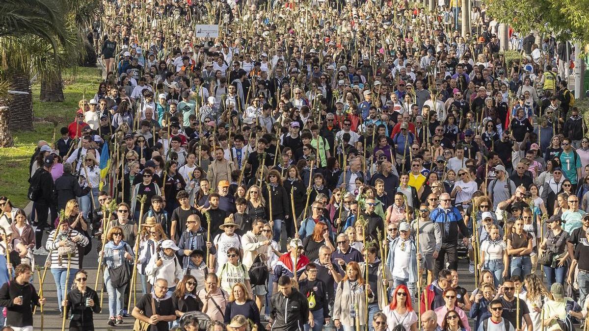 Romería de la Santa Faz 2026