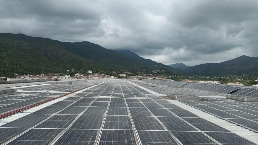 Levante-EMV aborda el futuro de la energía en la Comunitat Valenciana