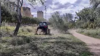 Alcañiz recupera las riberas del río Guadalope tras las tormentas y el tornado