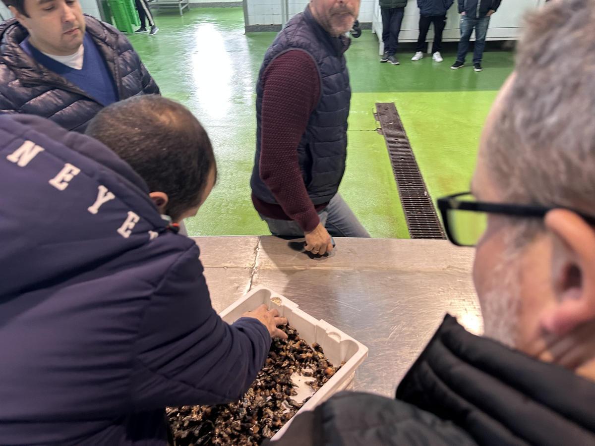 Los potenciales compradores observar el material para conocer si es de su gusto.