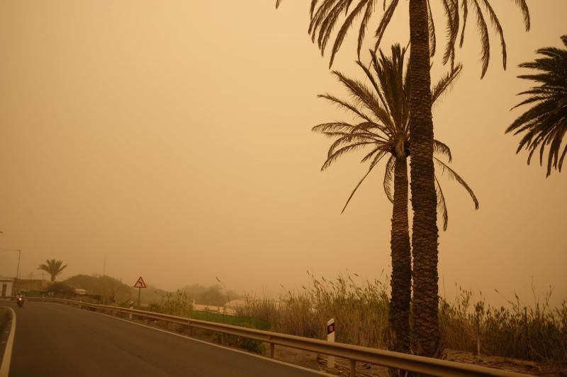 La Aldea - Agaete- Las Palmas de GC:. Incendio Tasarte y calima  | 23/02/2020 | Fotógrafo: José Carlos Guerra