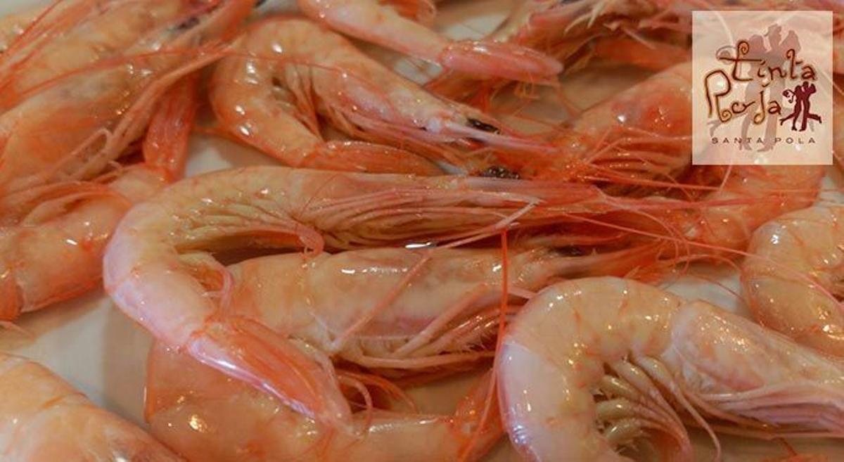 Date un homenaje gastronómico de norte a sur