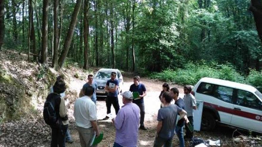 Jornada de treball de camp amb membres del Centre de Tecnologia i Ciència Forestal