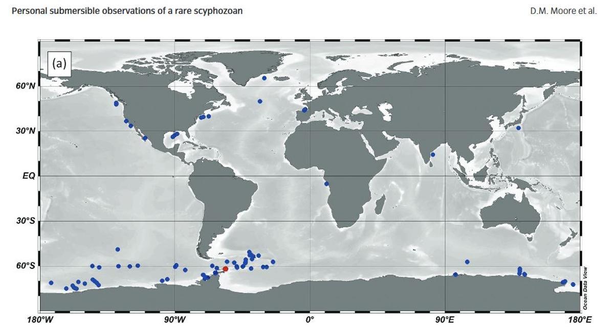 Observaciones de la medusa en el mundo