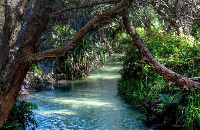 Isla de Fraser, Australia